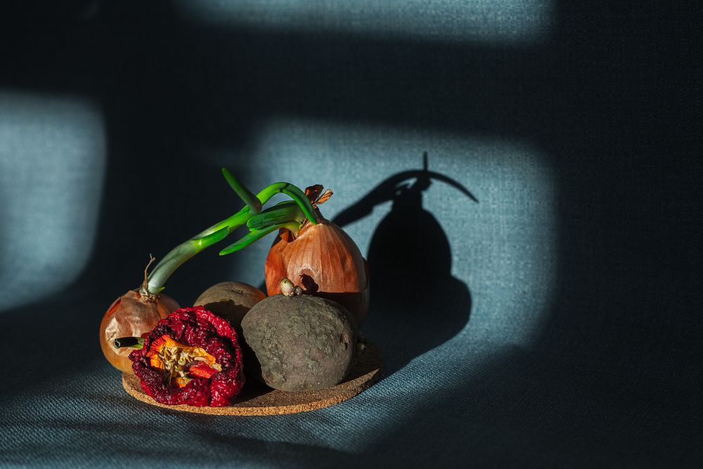 Photograph by Анна Чеснокова