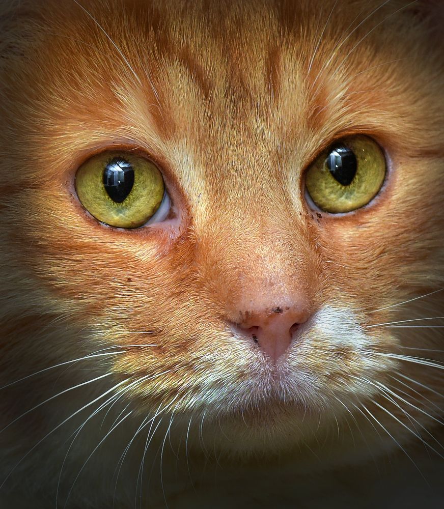 Photograph by Анна Кривицкая