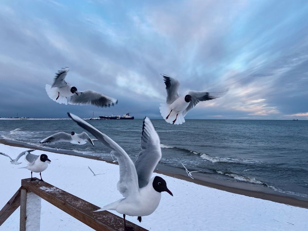 Photograph by Galina Baranovskaja