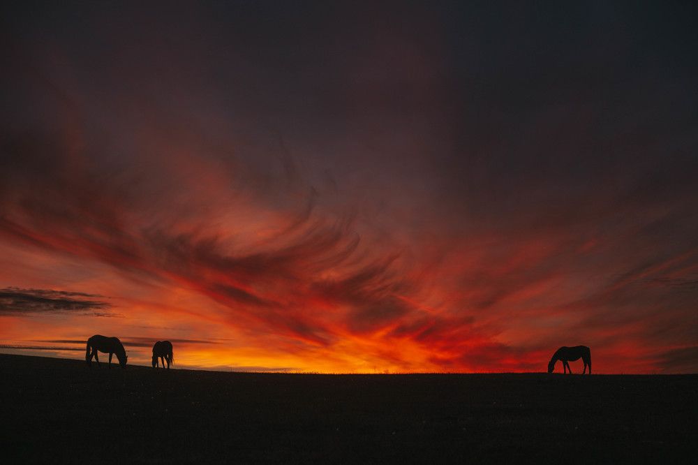 Photograph by Александра
