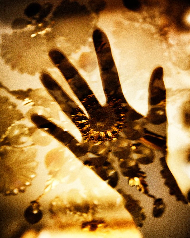 Photograph by Кристина Устян