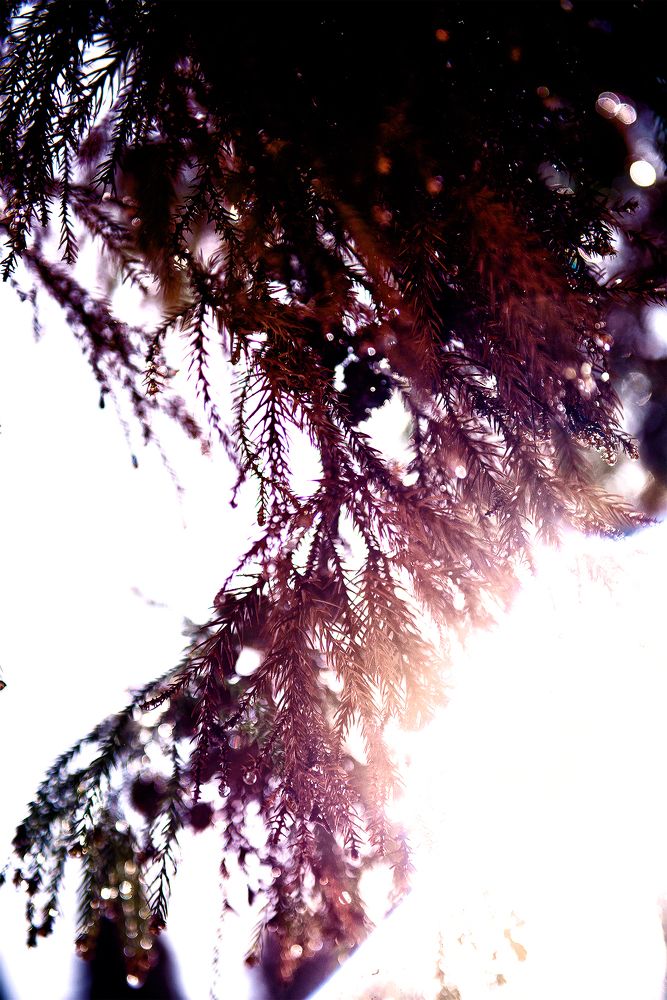 Photograph by Кристина Устян