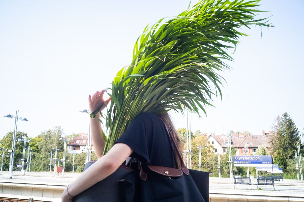 Photograph by jean-pierre damen