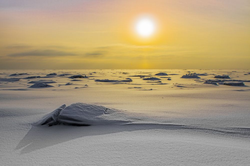 Фотография автора Ксения Зайцева