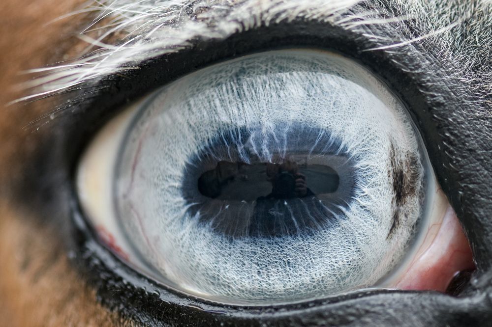 Photograph by Мария Давыдова