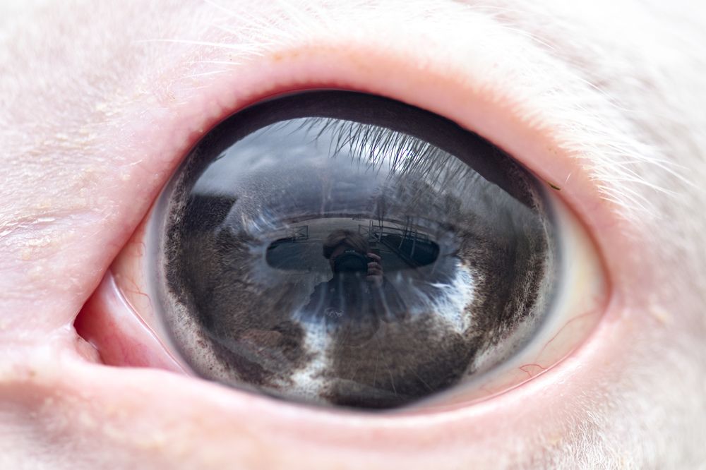 Photograph by Мария Давыдова