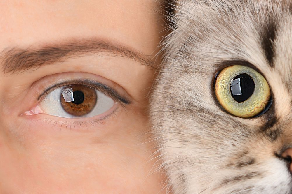 Photograph by Мария Давыдова