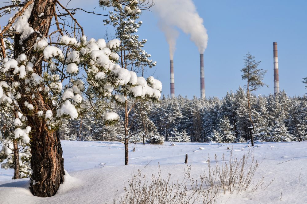 Photograph by Inna Logvinova