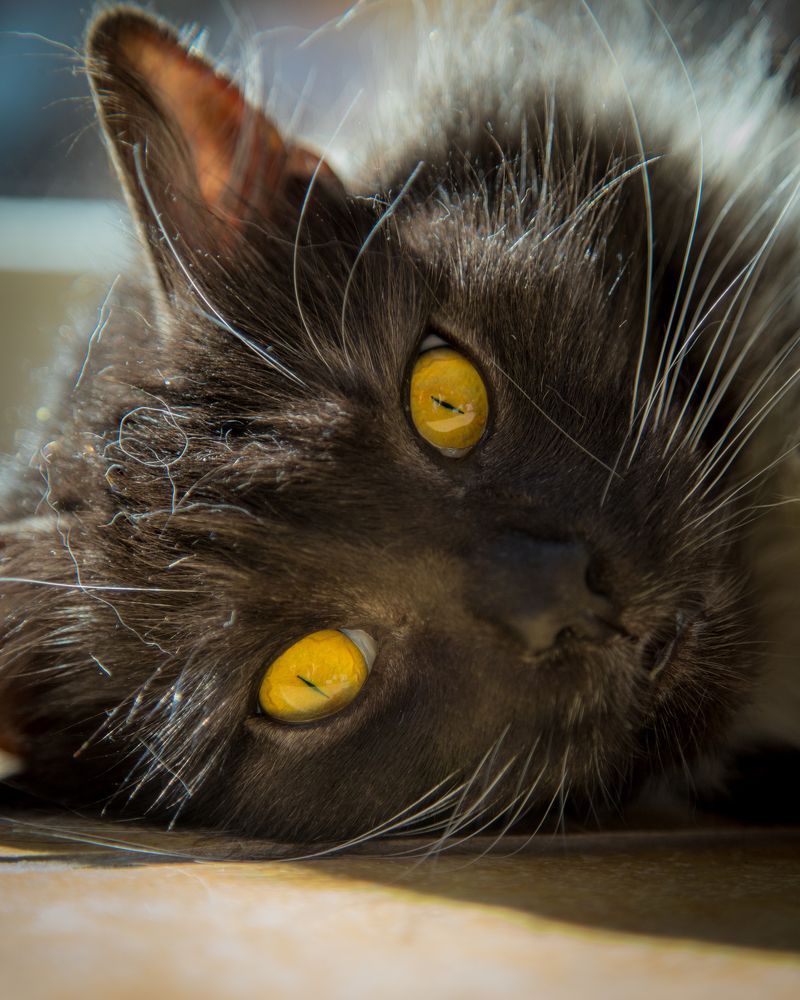 Photograph by Наталья Брюхненко