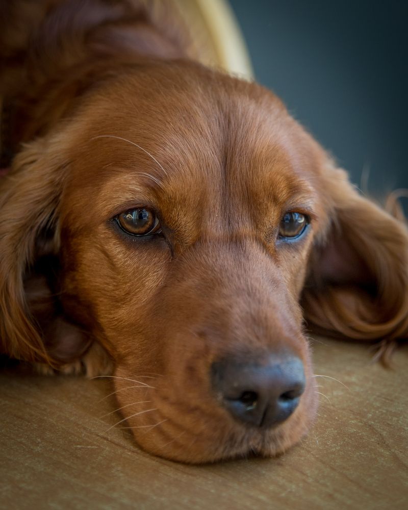 Photograph by Наталья Брюхненко