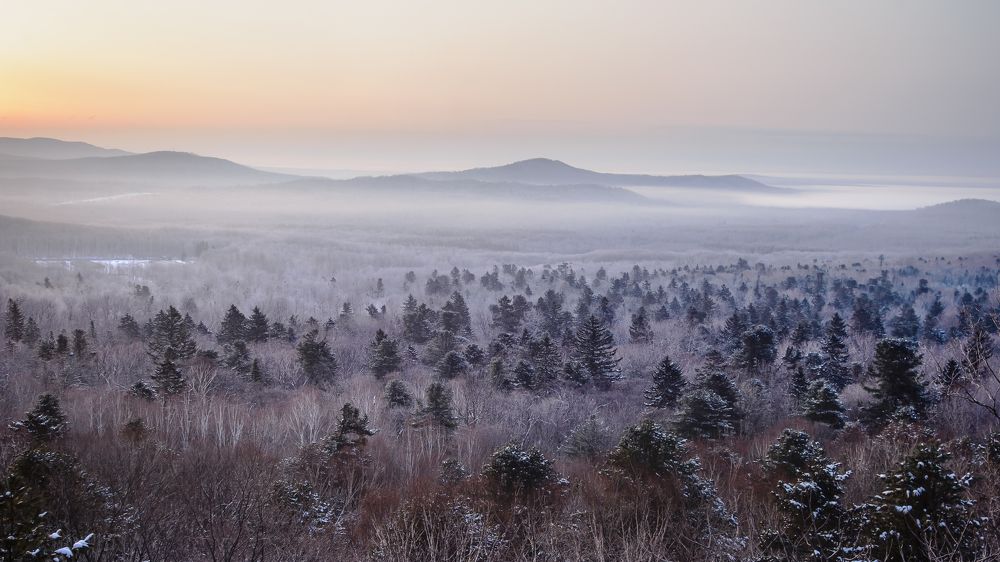 Туманное утро