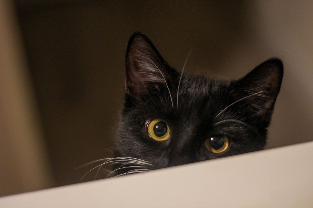 Photograph by Елена Хорохорина