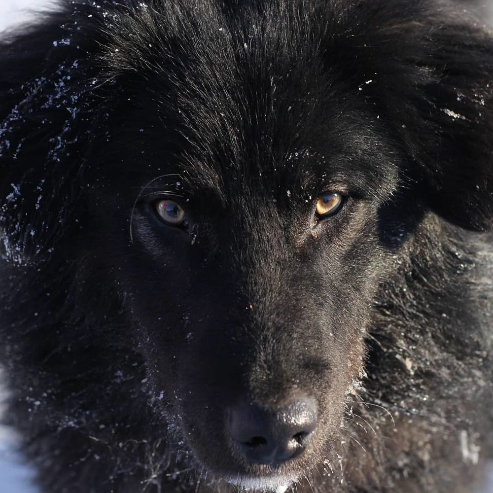 Photograph by Елена Хорохорина