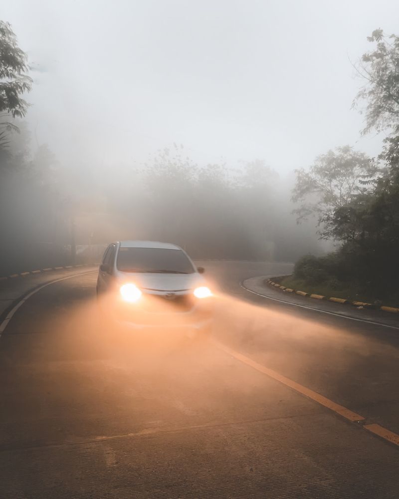 Photograph by Samuel Razonable