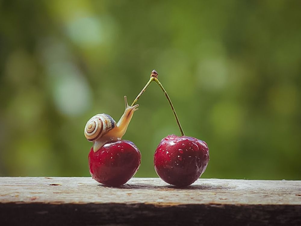 Photograph by Viktoria