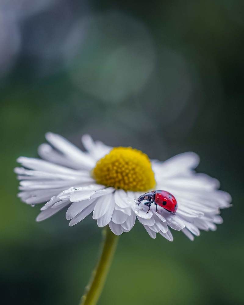 Photograph by Viktoria
