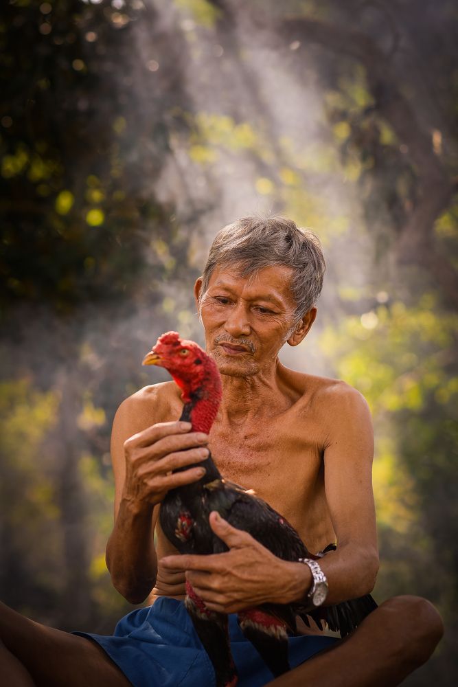 Photograph by Art_Nguyễn Hà