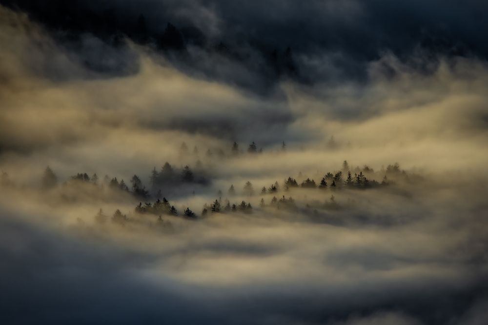 Photograph by Filip Eremita