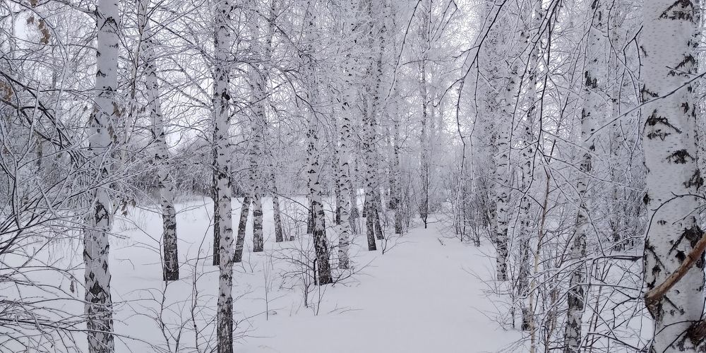 Photograph by Людмила Фризен
