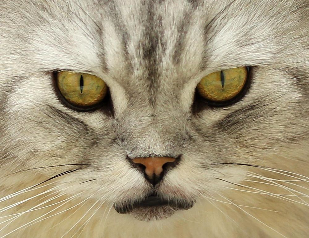 Photograph by Юрий Соколков