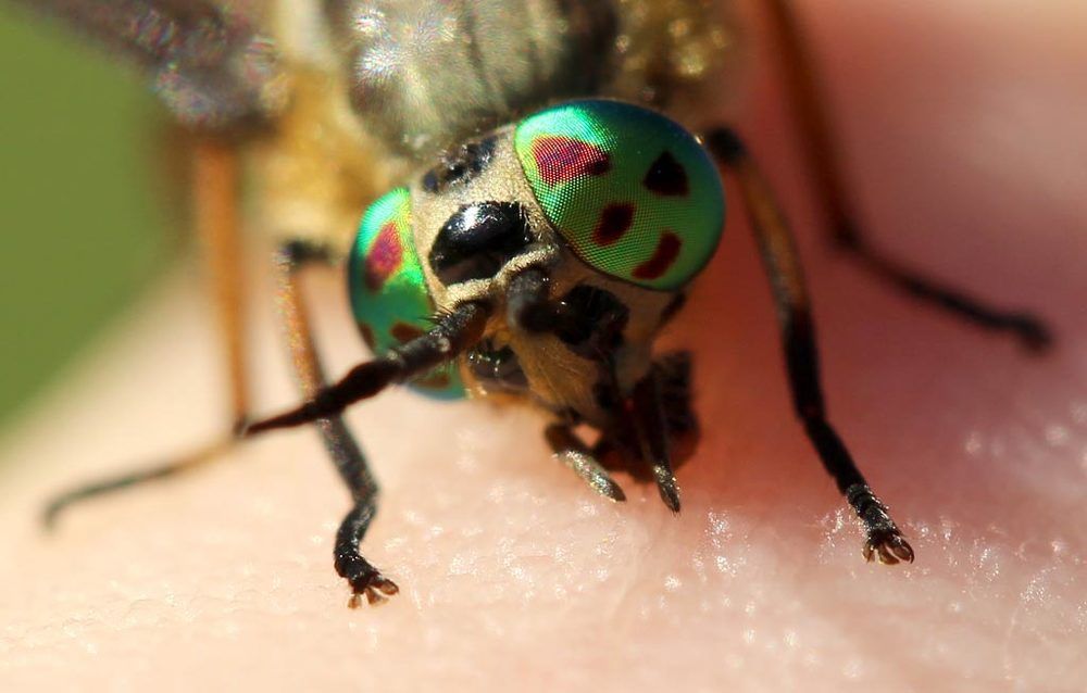 Photograph by Юрий Соколков