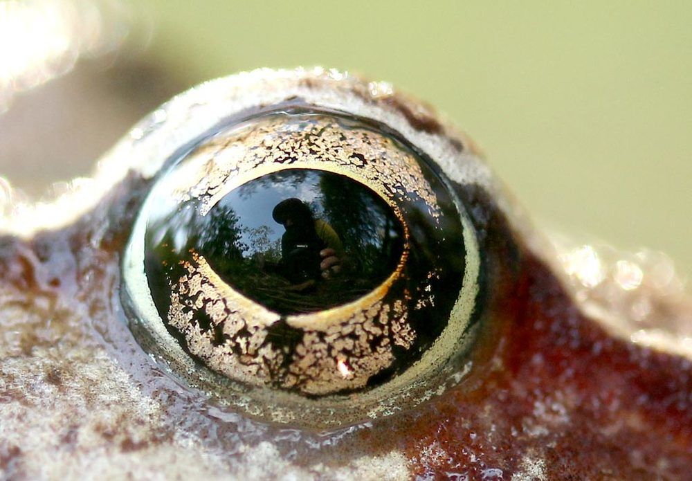 Photograph by Юрий Соколков