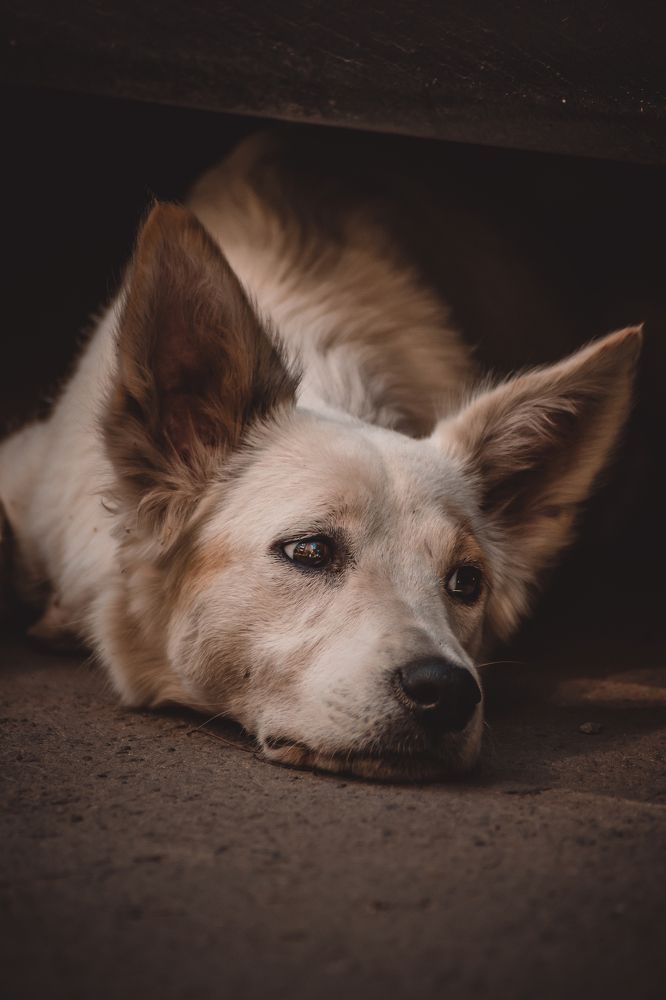 Photograph by Алексей Павленко