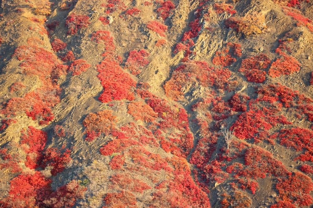 Photograph by Ирина Турчина