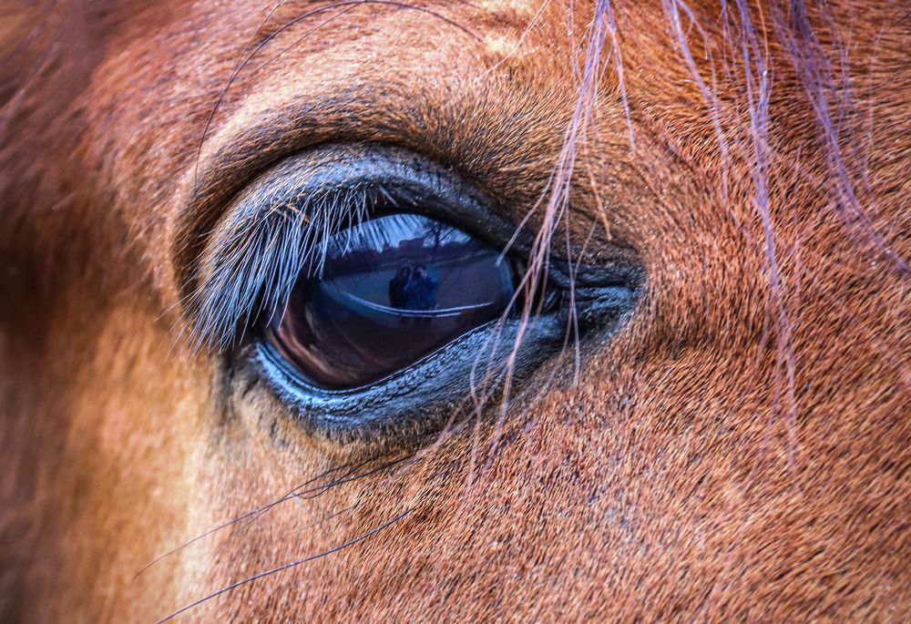 Photograph by Лариса Рулёва