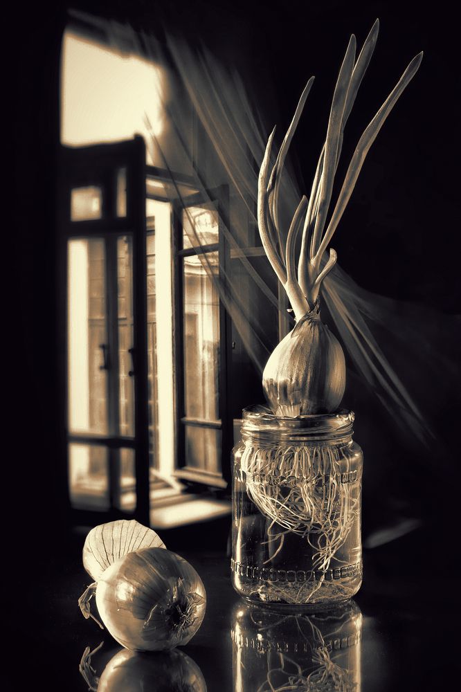 Photograph by Irina Grigoryeva