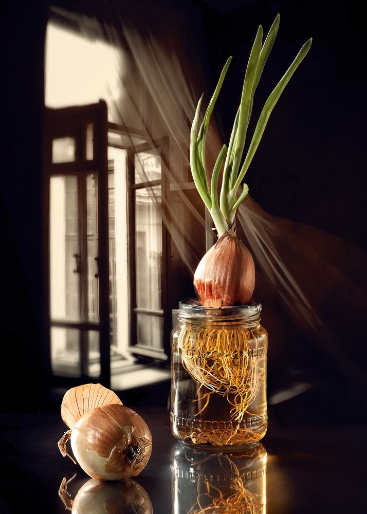 Photograph by Irina Grigoryeva