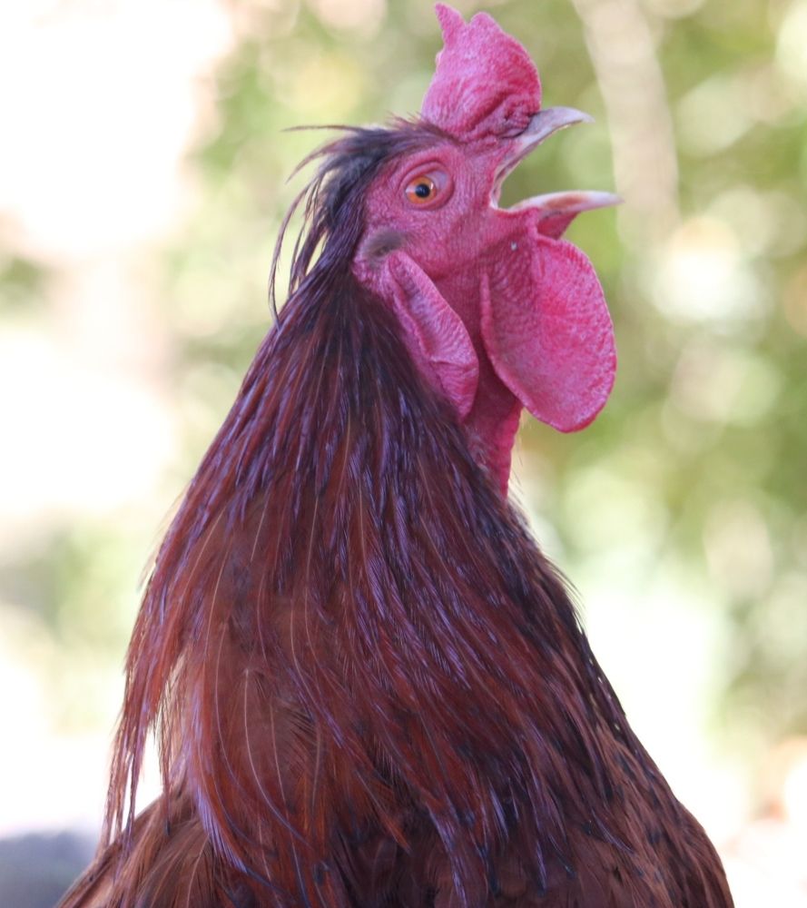 Photograph by Akvan Babak