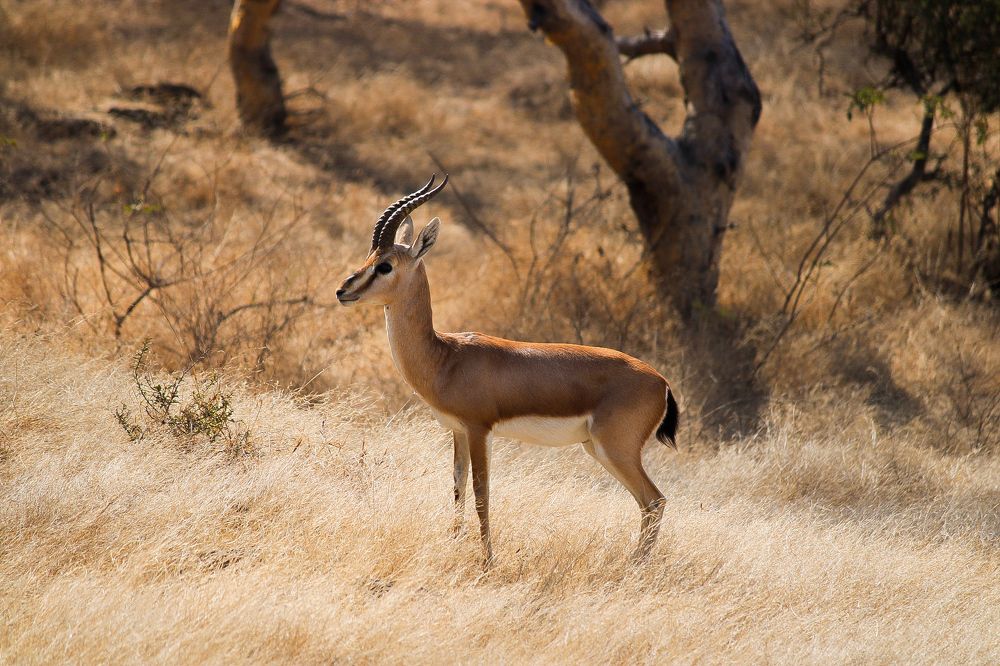 Photograph by Sameer Solanki