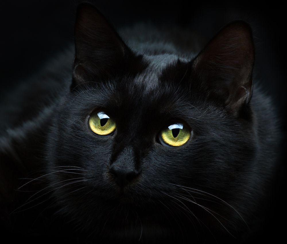 Photograph by Сергей Лукутов