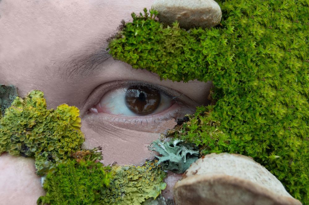 Photograph by Микола Боровський