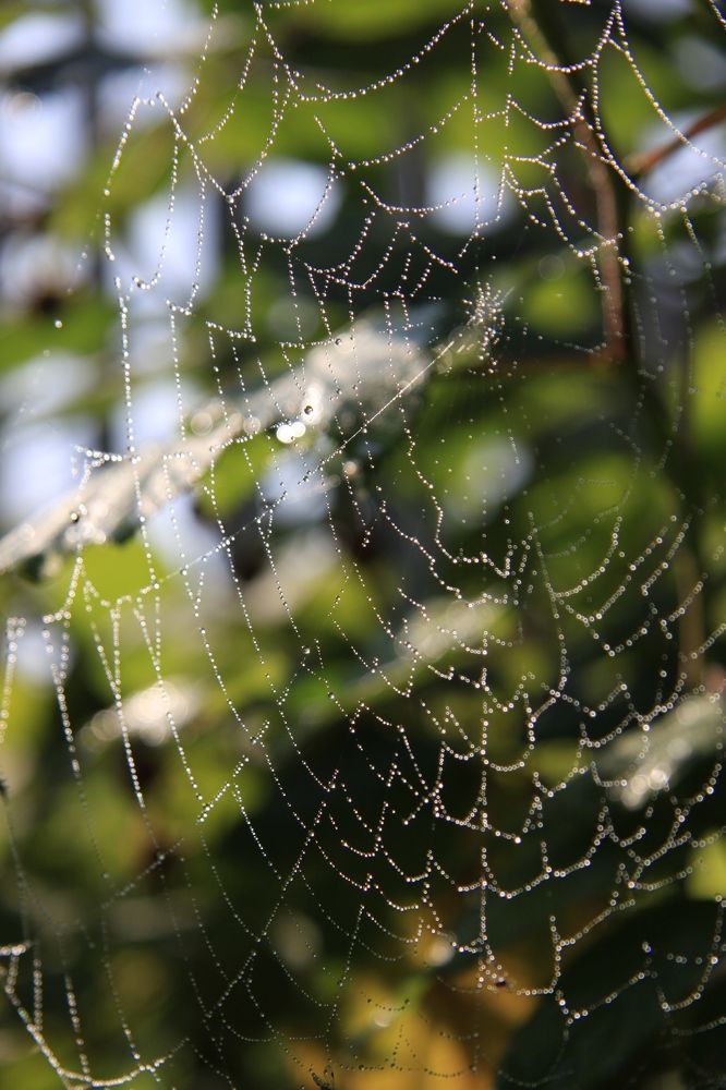 Photograph by Жанна Цветкова