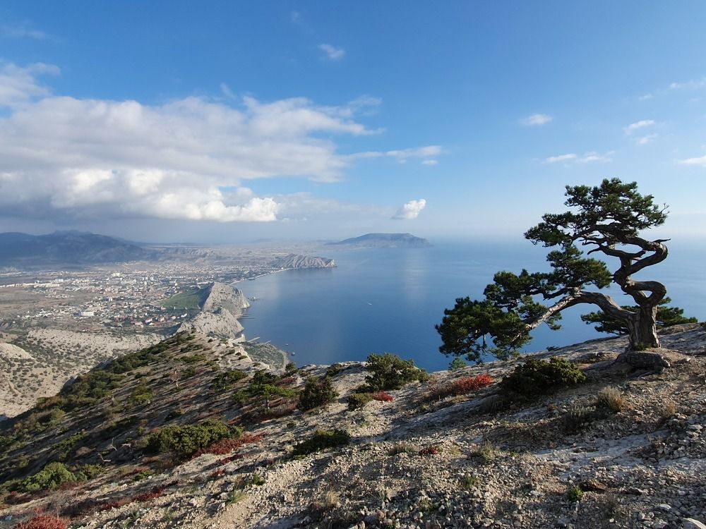 Photograph by Ирина Турчина