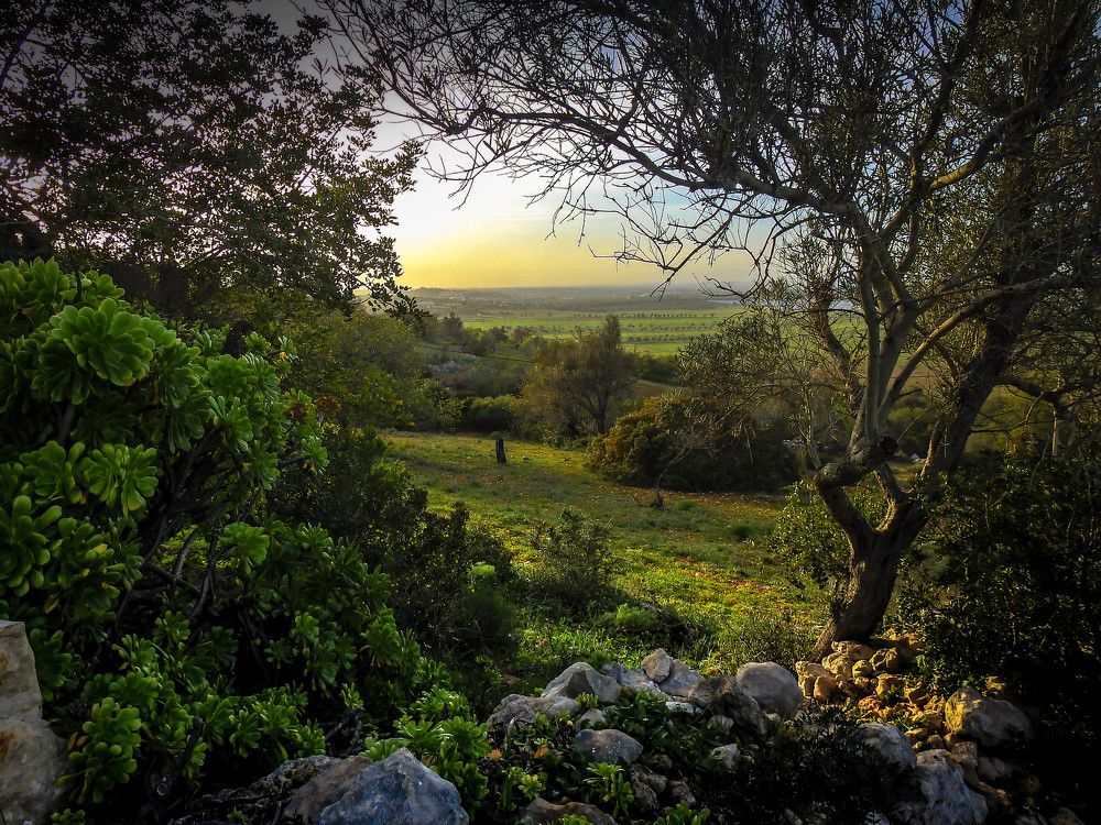 Photograph by Dmitry Skripachenko