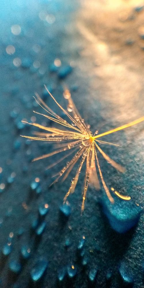 Photograph by Варвара Петросян