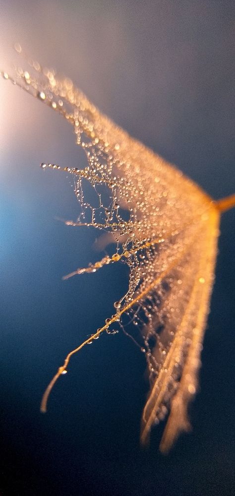 В мире капель