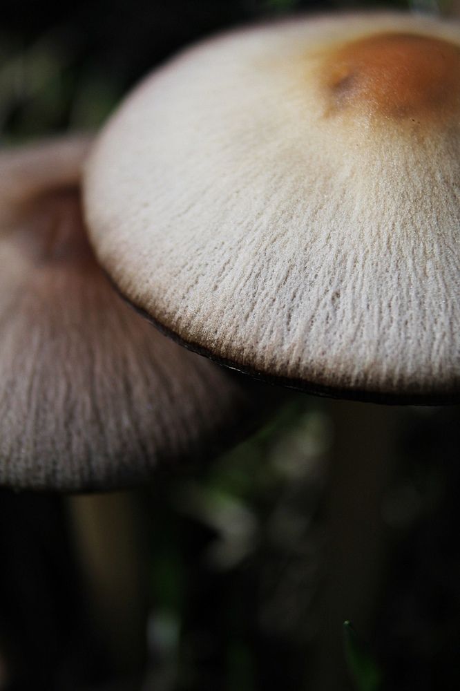 Photograph by Елизавета Силова