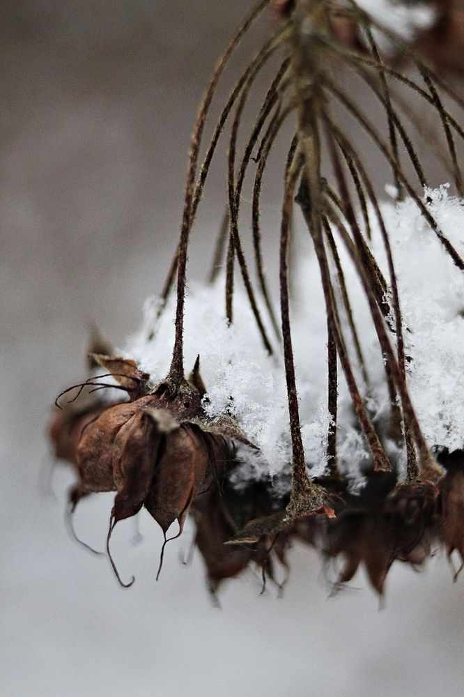 Photograph by Елизавета Силова