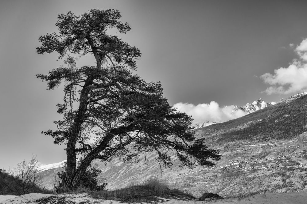 Photograph by Seematter Beat