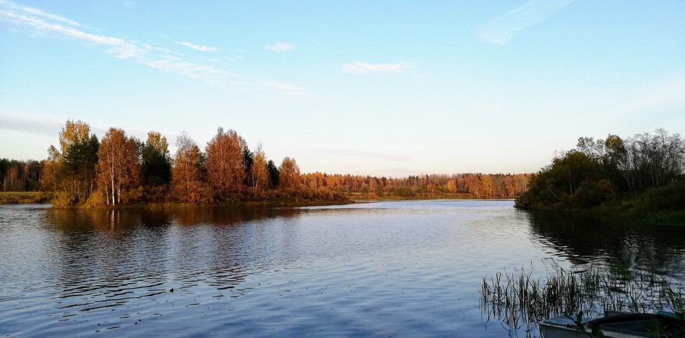 Краски осени