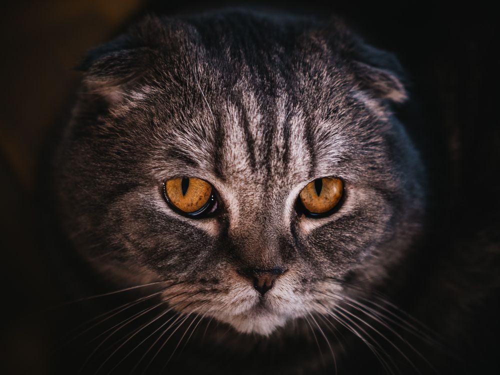 Photograph by Oxana Rovitskaya