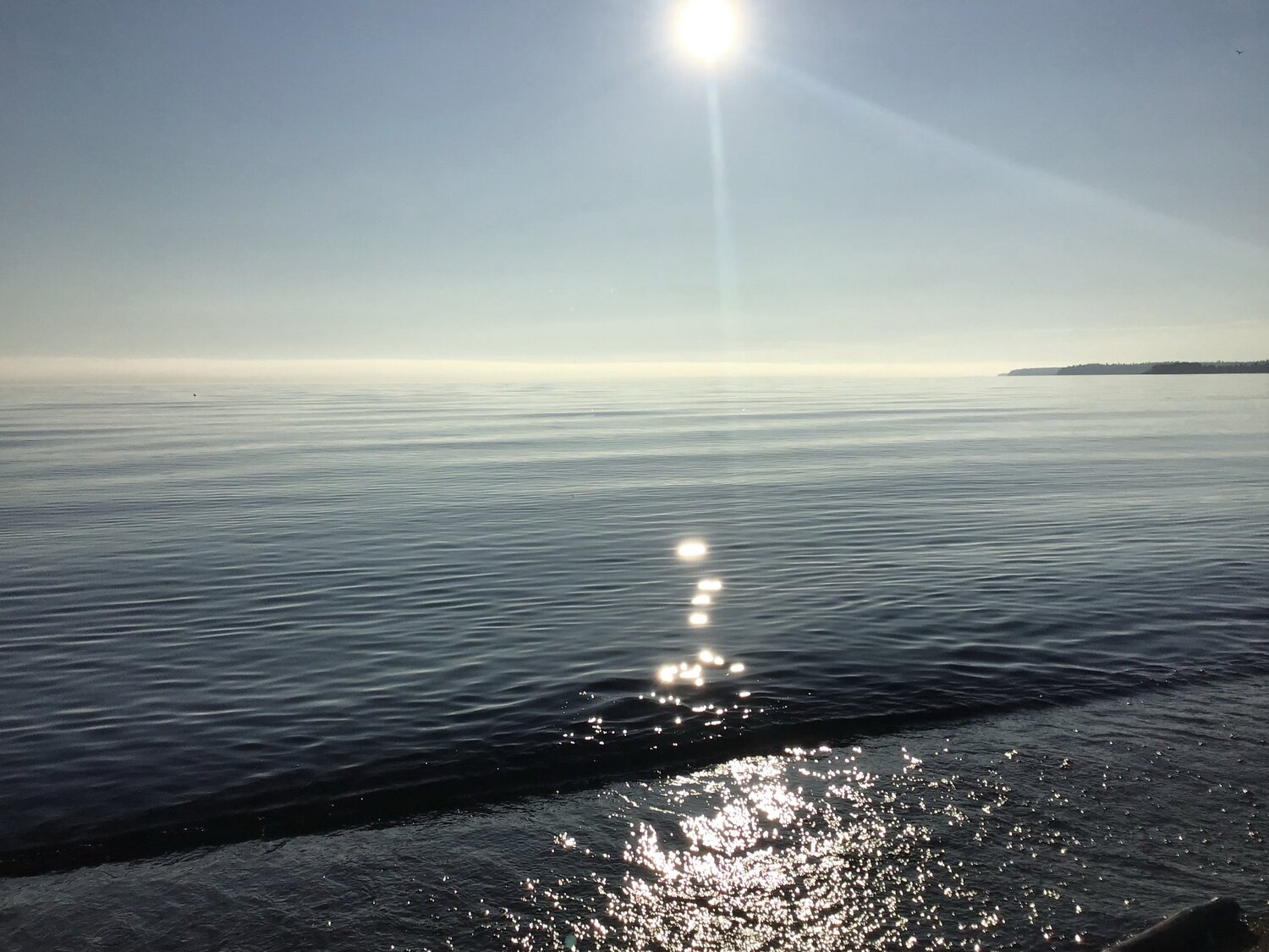 Photo #5976989
