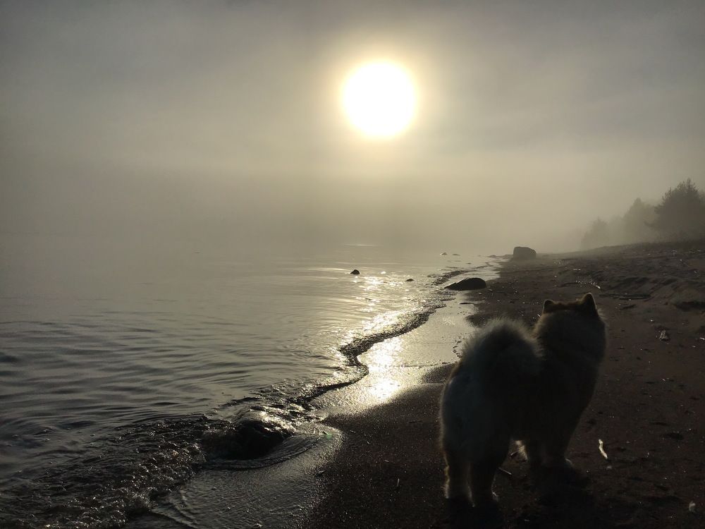 Photo #5977024