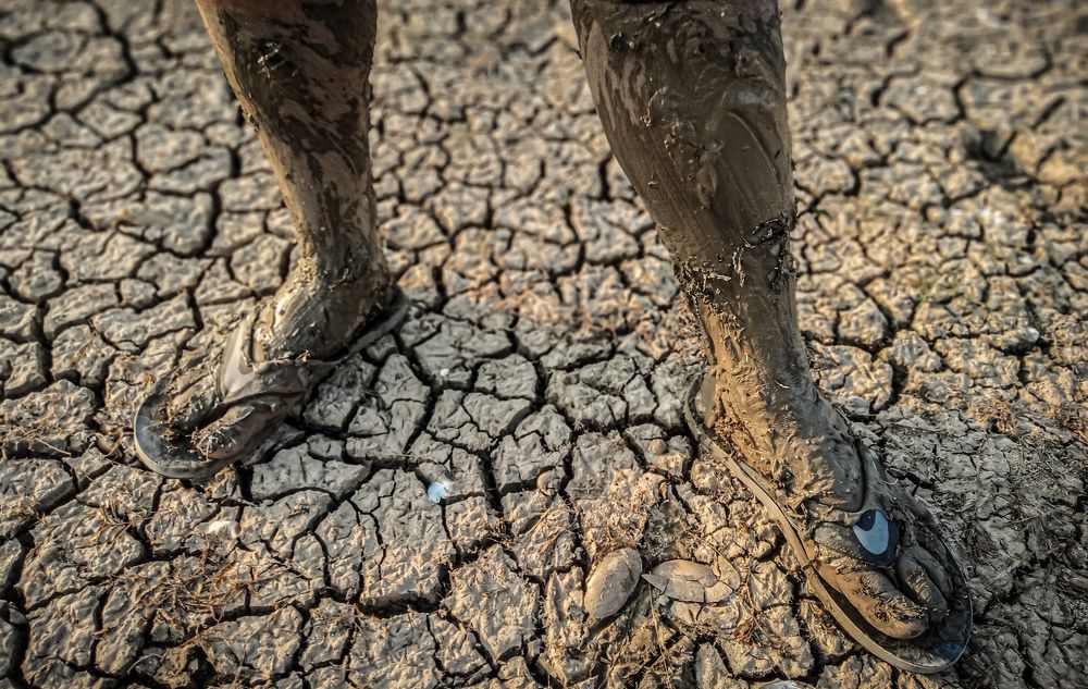 Photograph by Sadak Wala