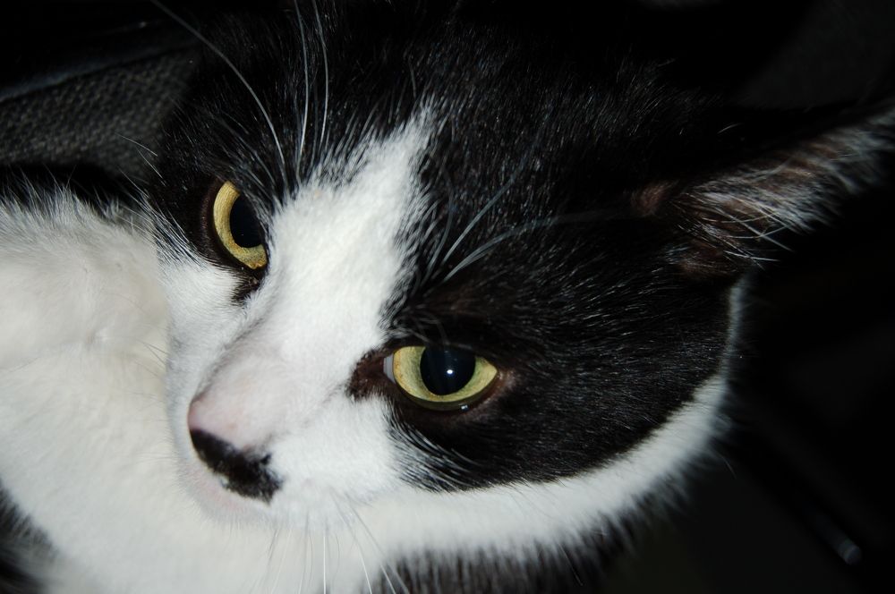 Photograph by Владимир Носов