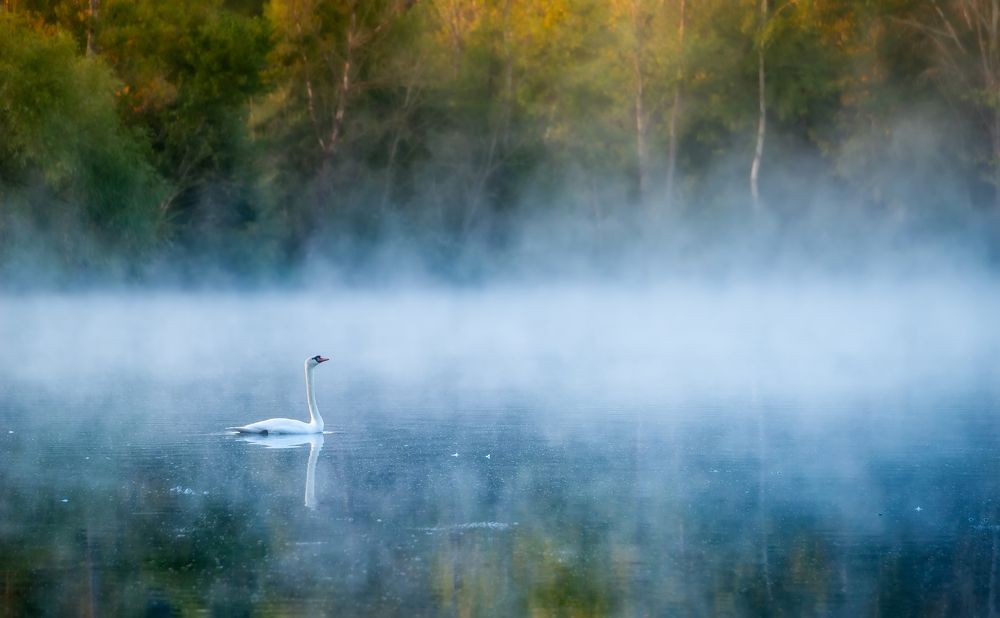Photograph by Александр Орнатский
